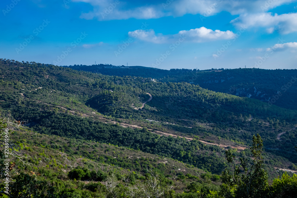 The green hills of mount Carmel