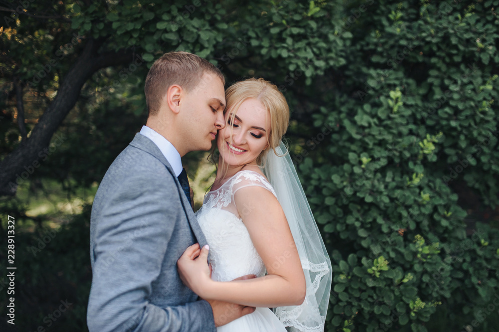 Beautiful newlyweds are smiling and hugging in a park with green trees. Wedding portrait of a young groom and cute bride. Wedding photography. Beautiful newlyweds are smiling and hugging in a park with green trees. Wedding portrait of a young groom and cute bride. Wedding photography.