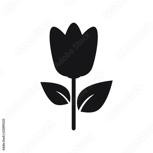 Flower vector icon, tulip icon © Maksim