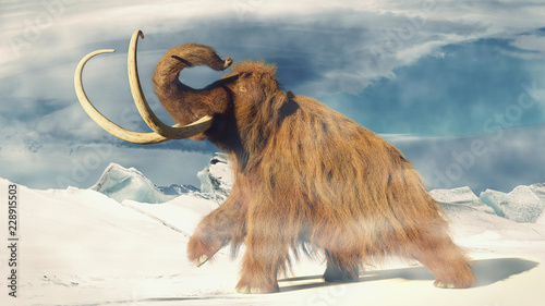 woolly mammoth, prehistoric animal in frozen ice age landscape (3d illustration) photo