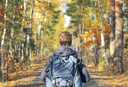 Hipster man with backpack walking in the autumn park. Discovery beautiful fall season. View from behind