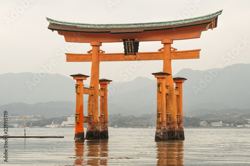 hiroshima torii gate in water