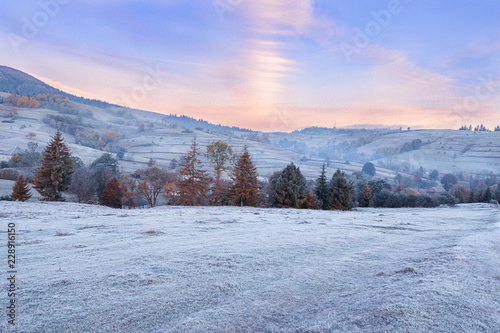 Autumn colorful morning sunrise in the mountains with grass covered with hoarfrost