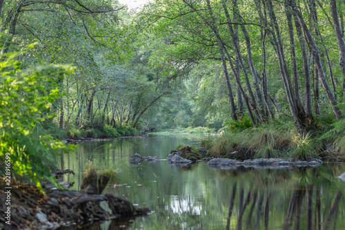 Landscape, river on the mountains