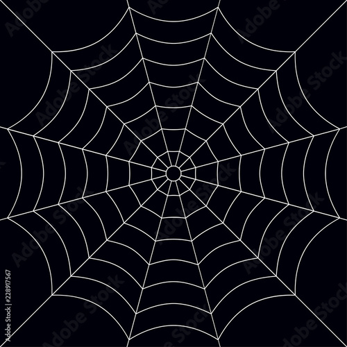 Halloween, spider web background - for stock