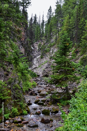 Waterfall and river stream Mountain views from hiking trails to Doughnut Falls in Big Cottonwood Canyon, in the Wasatch front Rocky Mountains, Utah, Western USA. © Jeremy