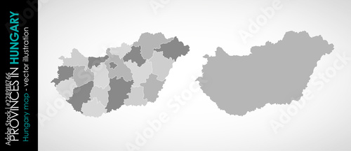 Vector map of Hungary province gray monohromatic photo
