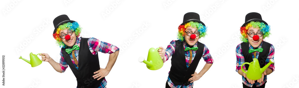 Clown isolated on the white background Clown isolated on the white background
