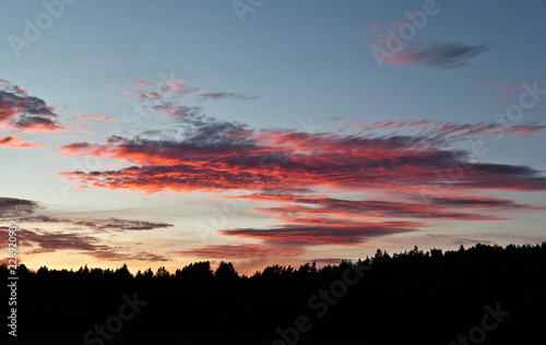 Beautiful colorful sunset over the forest. Nature landscape sunset background