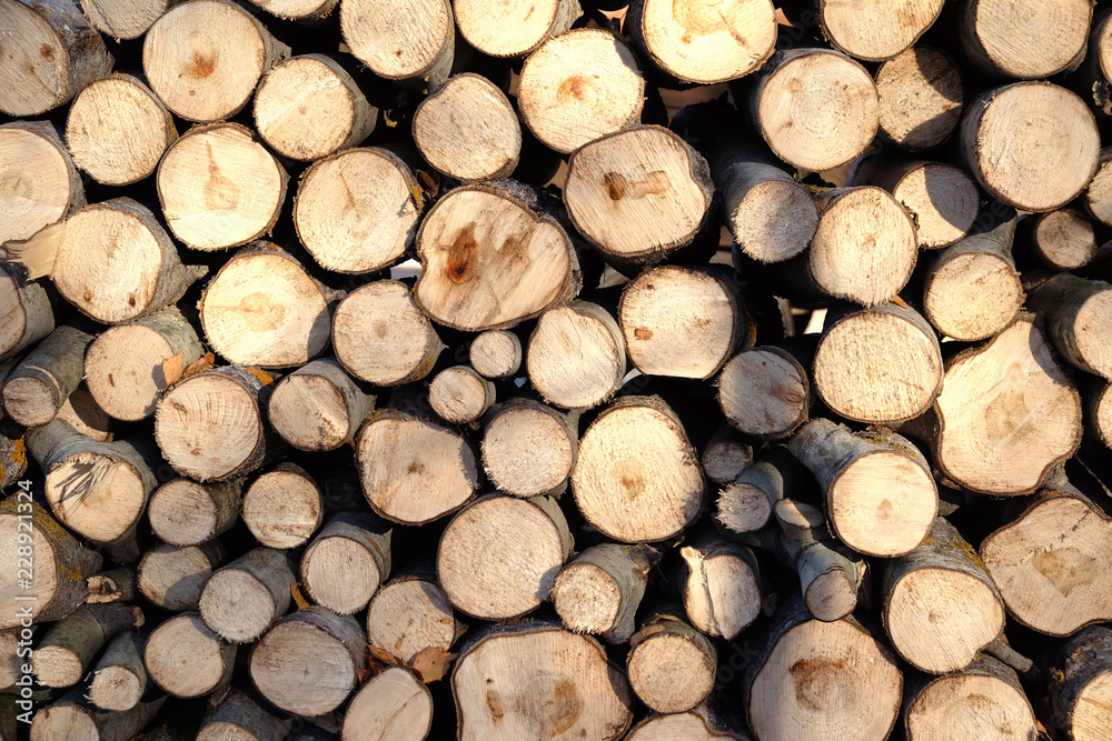 Many sawed firewood prepared and stacked in a pile as background horizontal front view closeup
