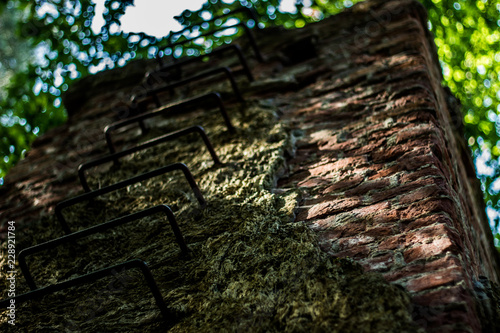 Fototapeta Naklejka Na Ścianę i Meble -  mazury