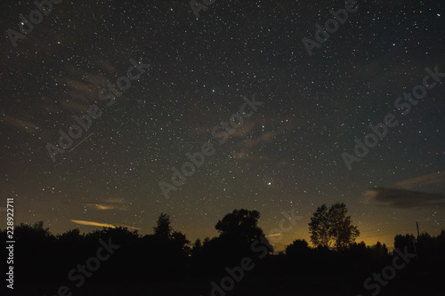 Starry night view of the village © dmitriydanilov62