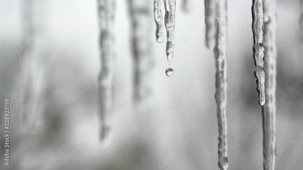 Close up shot of icicles melting Close up shot of icicles melting