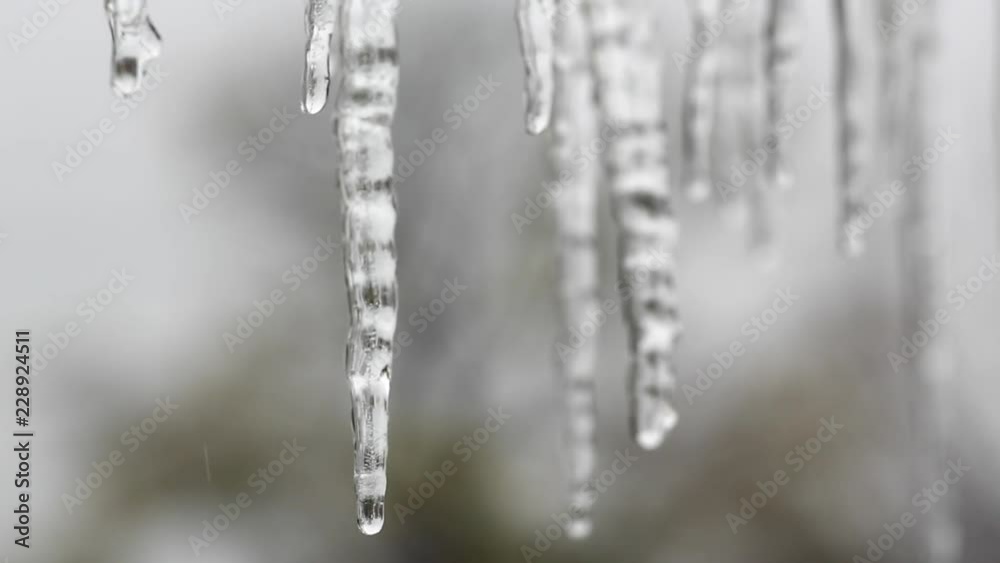 Close up shot of icicles melting Close up shot of icicles melting