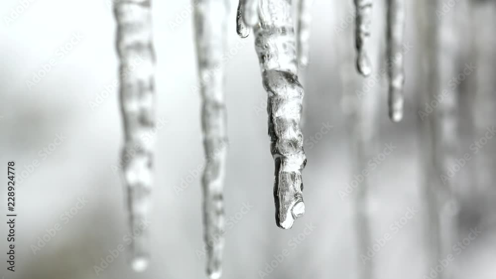 Close up shot of icicles melting Close up shot of icicles melting