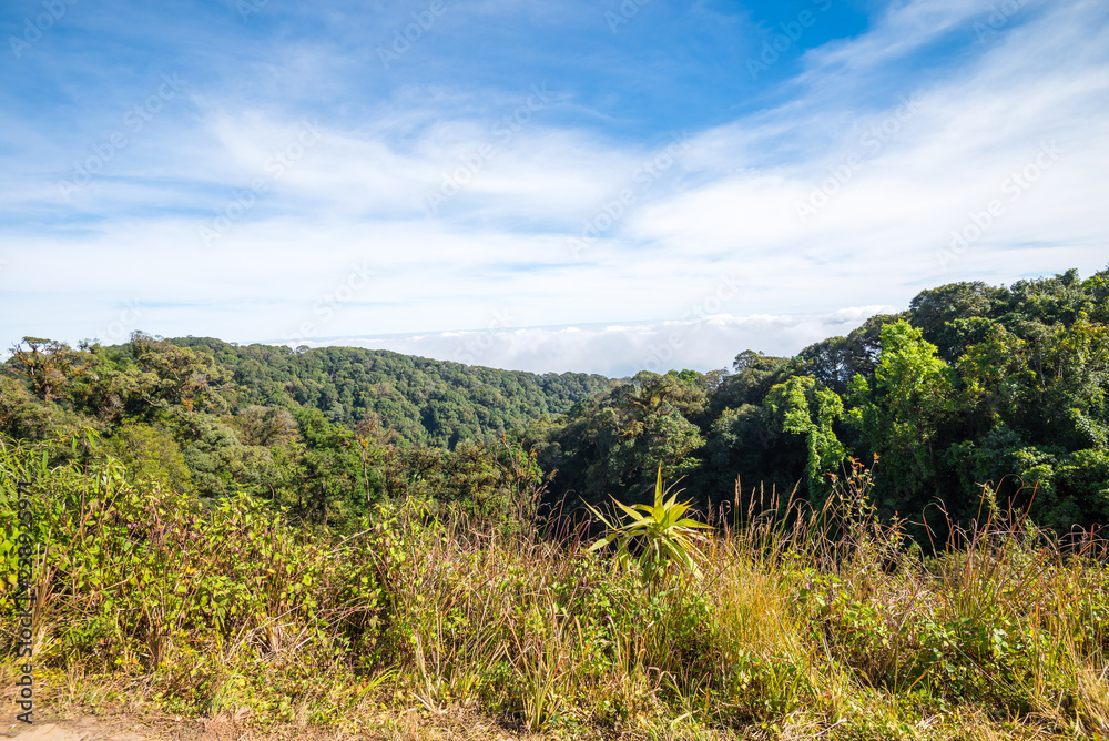 Beautiful mountain landscape with blue sky in northern Thailand - Green nature and travel business concept