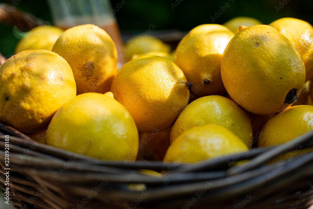 A close up of a wicker basket full of fresh lemons.