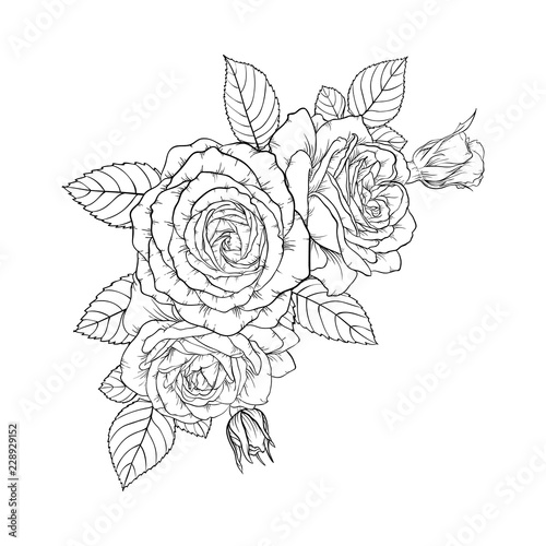 beautiful black and white bouquet rose and leaves. Floral arrangement isolated on background. design greeting card and invitation of the wedding, birthday, Valentine s Day, mother s day, holiday.
