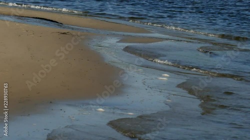 Wallpaper Mural Virginia Beach wetlands and ecological system Torontodigital.ca