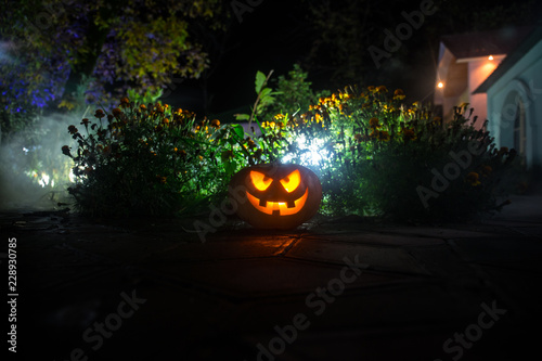 Halloween pumpkin. Carved Halloween pumpkin glowing in the dark. © zef art
