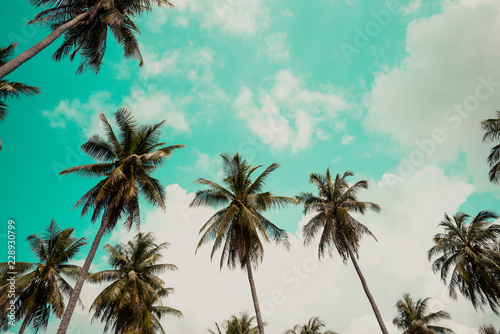 Coconut palm trees - Tropical summer beach holiday, Vintage tone © pla2na