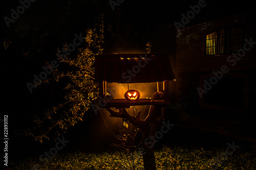 Pumpkin Burning In Forest At Night - Halloween Background. Scary Jack o Lantern smiling and glowing pumpkin with dark toned foggy background