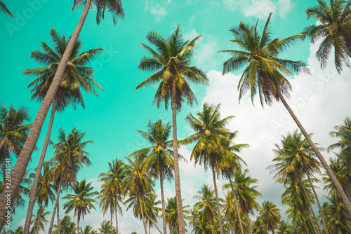 Coconut palm trees - Tropical summer beach holiday, Vintage tone
