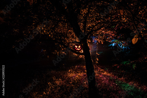 Pumpkin Burning In Forest At Night - Halloween Background. Scary Jack o Lantern smiling and glowing pumpkin with dark toned foggy background