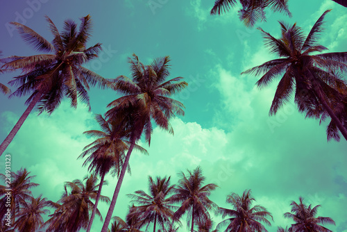 Coconut palm trees - Tropical summer beach holiday  Vintage tone