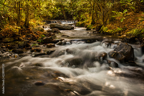 mountain stream in the forest