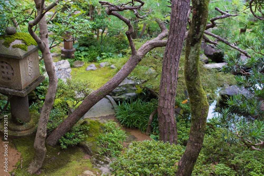 Japanese Samurai Garden Japanese Samurai Garden