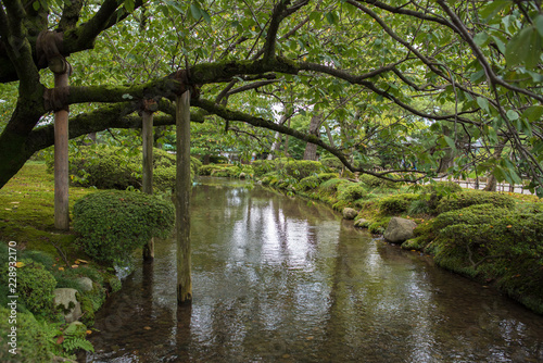 Japanese Beautiful Garden (Ishikawa - Kenrokuen)
