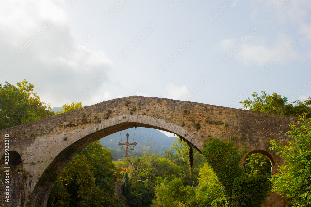 bridge-asturias-cangasdeonis-5184x3456