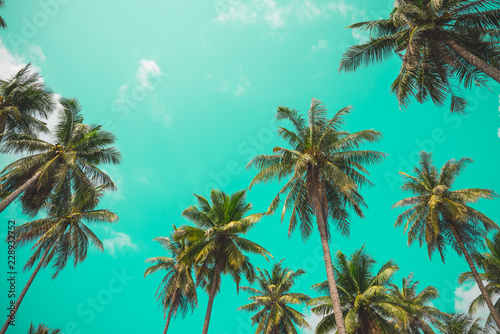 Coconut palm trees - Tropical summer beach holiday, Vintage tone © pla2na