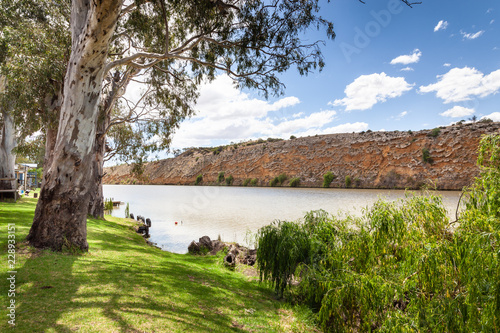 Landscape view of parkland on banks of the Murray River near Bowhill in South Australia. photo