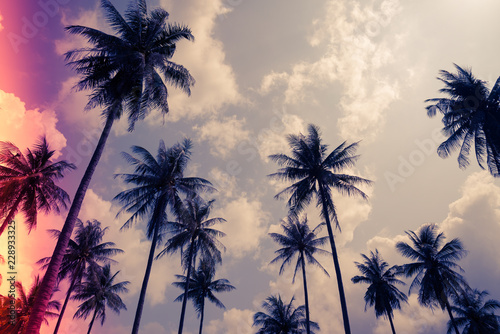 Coconut palm trees - Tropical summer beach holiday  Light leak effect