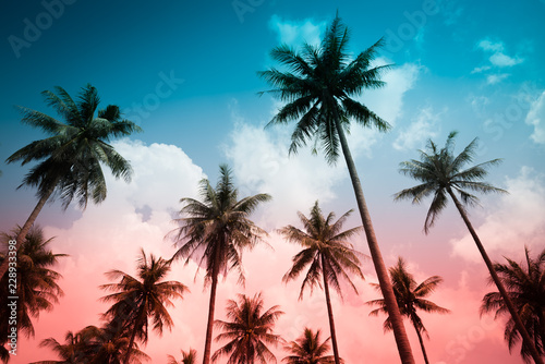 Coconut palm trees - Tropical summer beach holiday  Vintage tone effect