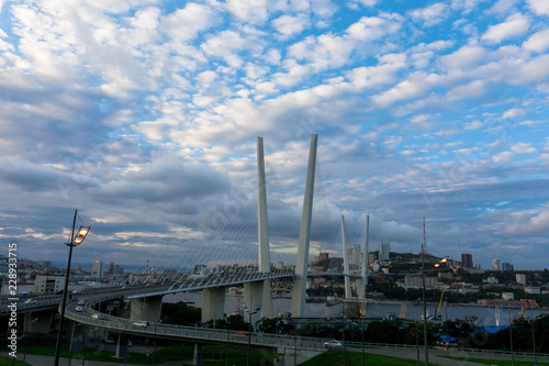 Golden cable-stayed bridge road car traffic from above. Modern Vladivostok Russia night illumination. Old and modern central buildings. 