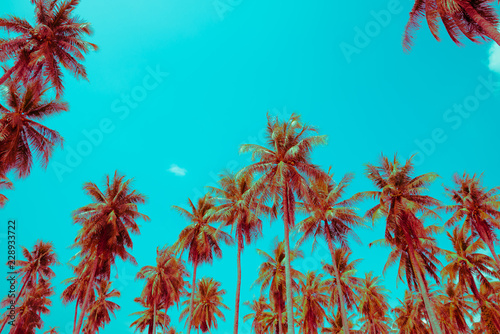 Coconut palm trees - Tropical summer beach holiday, Color fun tone © pla2na