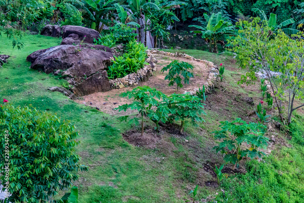 A beautiful tropical green space with tiered grass levels and fruit trees.