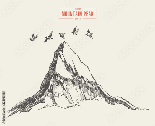 Peak mountain irds flying over vector drawn sketch