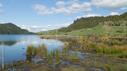 Peaceful walk around lake Okareka, observing wetland, New Zealand
