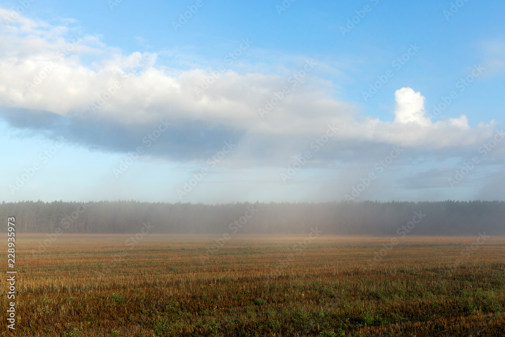 fog morning