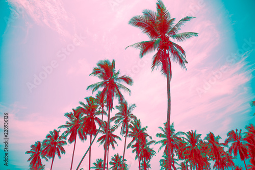 Fototapeta Naklejka Na Ścianę i Meble -  Coconut palm trees in sunny day - Tropical aloha summer beach holiday vacation concept, Vintage color tone effect