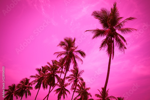 Coconut palm trees - Tropical summer beach holiday, Color tone © pla2na