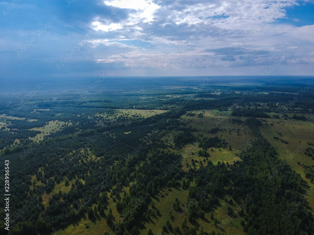 Huge forest from the height of summer