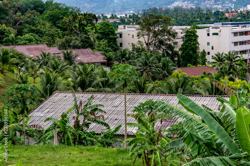 looking out on the city of patong from an elevated view off the side of a mountain. Rooftops and greenery is visible