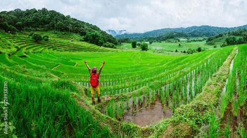 Asian man travel nature Travel relax Walking rice field in rainy season in Chiang Mai, Thailand.