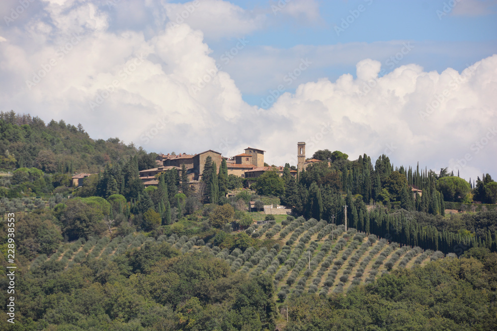 Hillside Tuscany