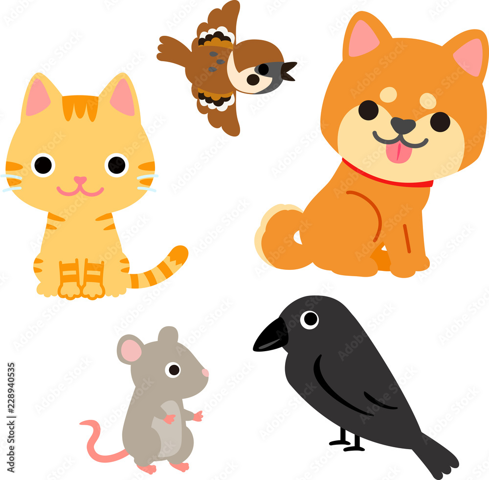 Fototapeta premium 生活に身近な動物のイラストセット
